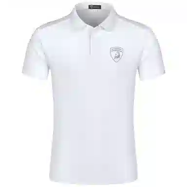 Automobili Lamborghini LogoPolo