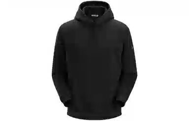 Arcteryx Emblem Hoodie