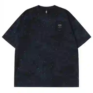 HIPANDA T