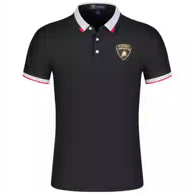 Automobili Lamborghini logoPolo