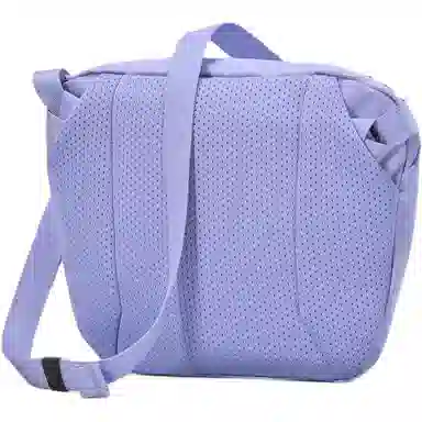 Arcteryx Mantis 2 2.5L