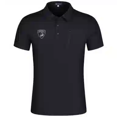 Automobili Lamborghini logoPolo