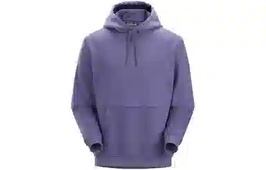 Arcteryx Emblem Hoodie