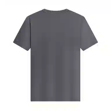 JUDGER T