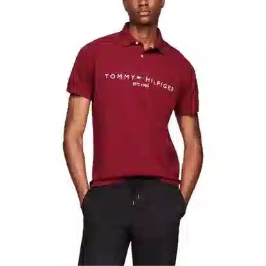 Tommy Hilfiger LOGOPolo
