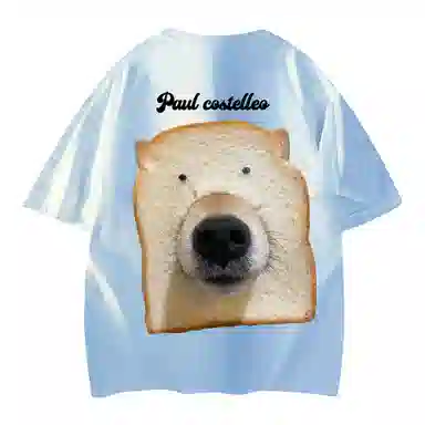 PAUL COSTELLOE T
