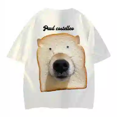PAUL COSTELLOE T