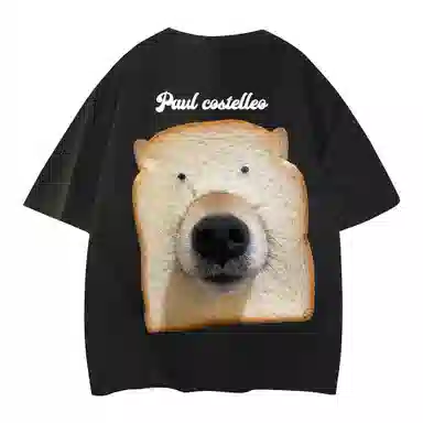 PAUL COSTELLOE T