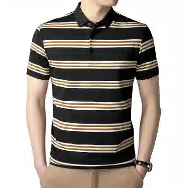 Pierre Cardin Polo Shirt