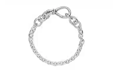 Pandora Bracelet