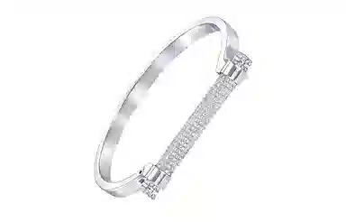 Swarovski Friend Bangle Silver