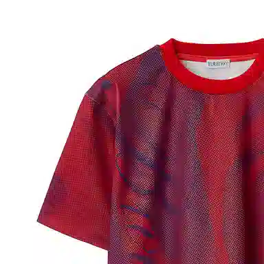 Burberry T