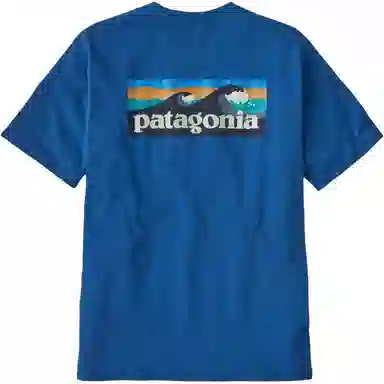 patagonia T