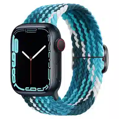 AppleWatch