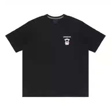 patagonia Extraordinary T
