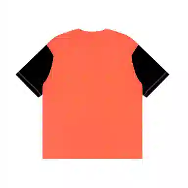 Aape T