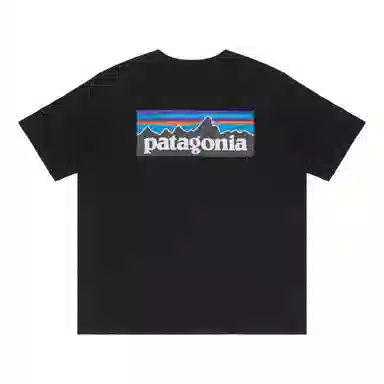 patagonia Extraordinary T