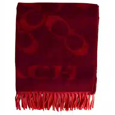 COACH Scarf