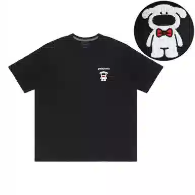 patagonia Extraordinary T