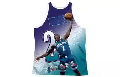 Mitchell Ness 2