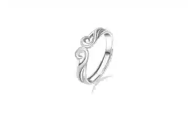 COPI ins S925