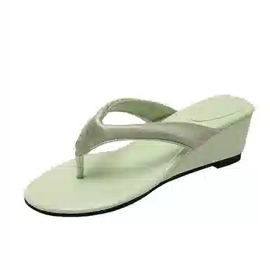 黑恐龙 潮流时尚休闲舒适百搭 防滑人字拖鞋 女款