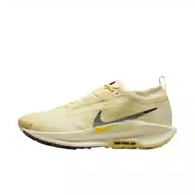 Nike Pegasus Trail 5 GORE-TEX