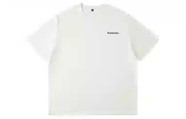 Kawasaki LogoCleanfitT