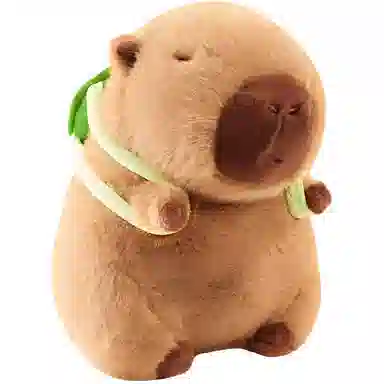 The Green Party 22cm33cm