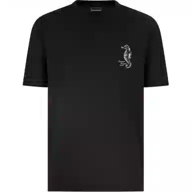 EMPORIO ARMANI SS25 T