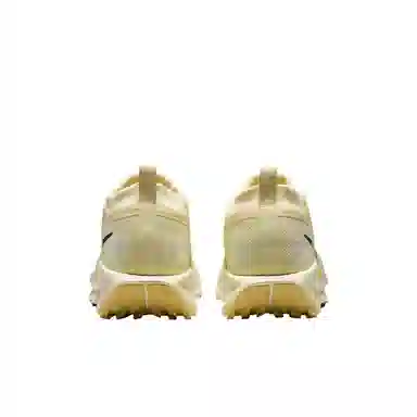 Nike Pegasus Trail 5 GORE-TEX