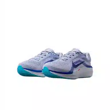 Nike Winflo 11 Grey Blue