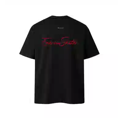 EMERICA T