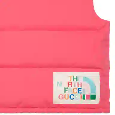 GUCCI x THE NORTH FACE Logo