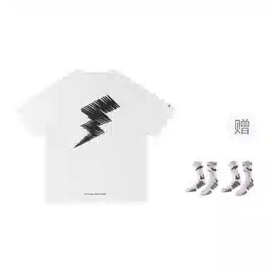 VEIDOORN x POKEMON T