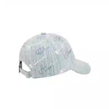 Champion Campus Mono 3.0 Ball Cap
