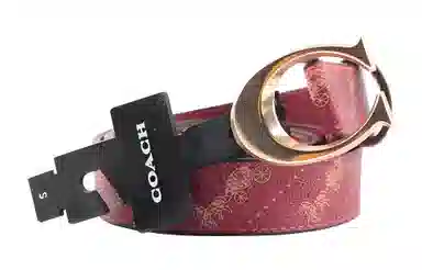 Coach Belt