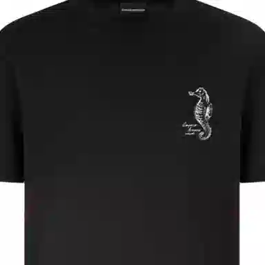 EMPORIO ARMANI SS25 T