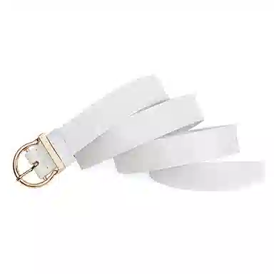 啄木鸟 潮流时尚个性腰带高颜值装饰百搭裤腰带 皮带 女款