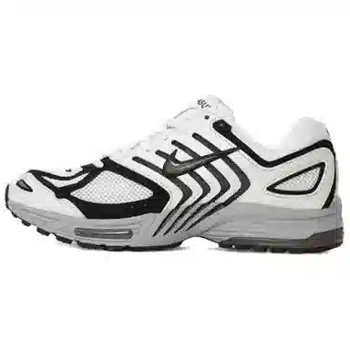Nike Air Pegasus 2005