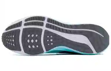 Nike Air Zoom Pegasus 39