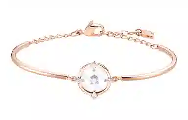 Swarovski Swarovski NORTH