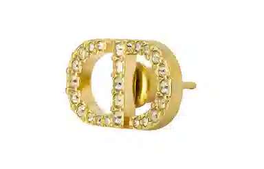Dior Earrings