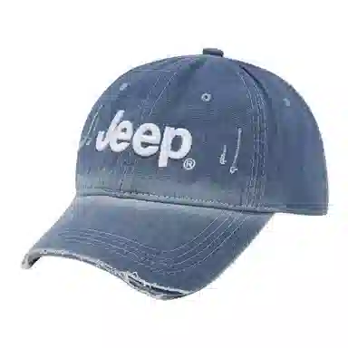 Jeep ins