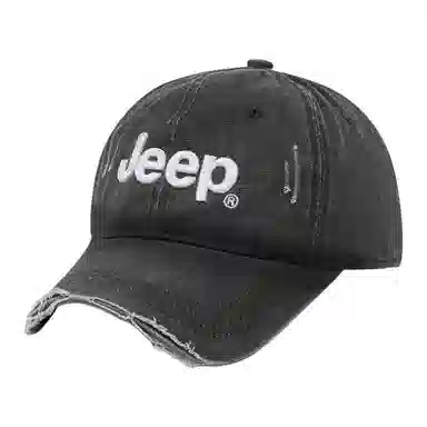 Jeep ins
