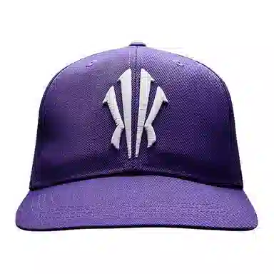 超级安踏 欧文 篮球系列 刺绣徽标 腈纶 鸭舌帽 男女同款情侣款 诺雅紫