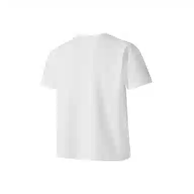 PAINT STAIN Polo
