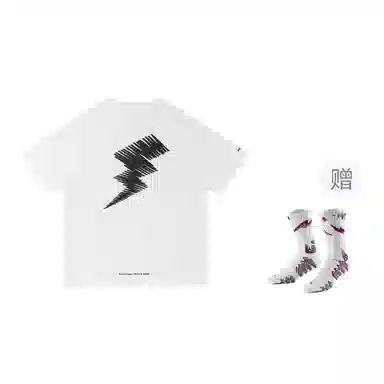 VEIDOORN x POKEMON T