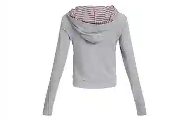 APEA Two-Tone Striped Hoodie