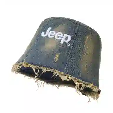 Jeep ins